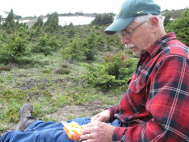 Canadian Rockies-307.JPG - Bald Hills Trail